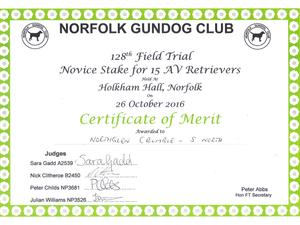 Norfolk Gundog Club Novice FT
