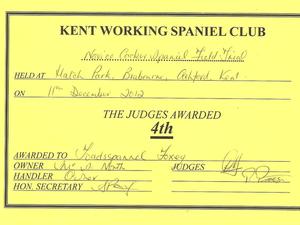 Kent WSC Novice Cocker Field trial 4th