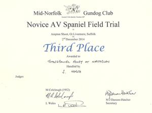 Mid Norfolk gundog Club Novice AV Spaniel FT 3rd