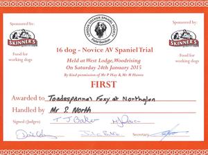 London Cocker Spaniel Society Novice AV FT 1st