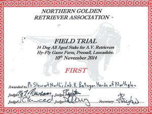 NGRA All Aged Field Trial 1st