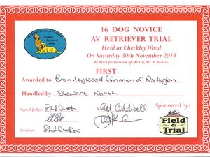 1st Place Novice Field Trial