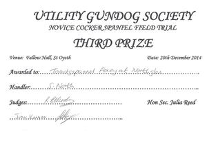 UGS Novice Cocker Field Trial 3rd