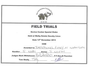 Lincs Gundog Novice Cocker Field Trial COM