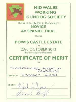 Mid Wales WGS Novice AV Spaniel FT COM