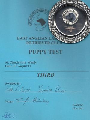 EALRC Puppy Working Test 3rd