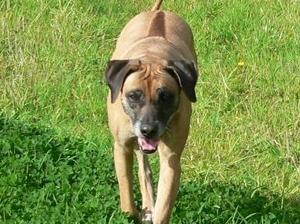 Lollipop on her 11th Birthday