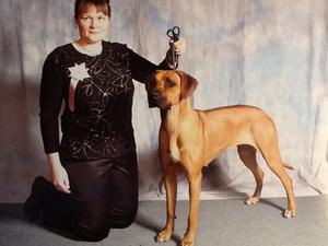 Lyric after she won BPIB & RCC at Crufts 2008