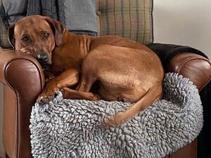 What she does best: relaxing at home