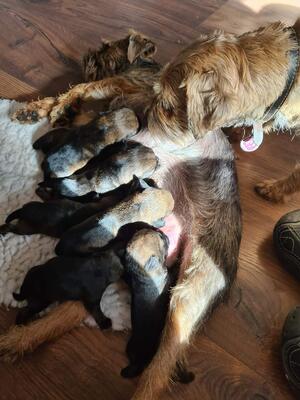 Margo meeting her grandchildren