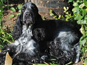 ENJOYING THE SUNSHINE!