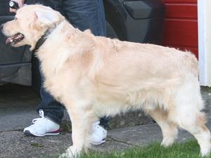 Buzbee (Mr Green) aged 9 months