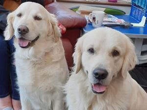 The two lovebirds,Phoebe and Eccles