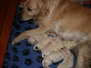 all together just after Birth