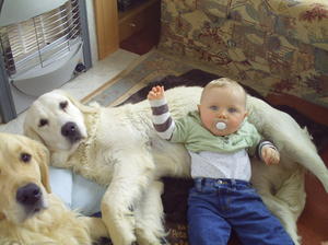 Jazmin with Samson and Dylan at the Caravan
