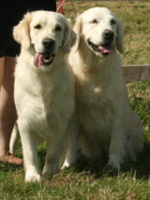 Willow on the left with mummy Jazmin