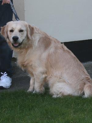 Buzbee(Mr Green) aged 9 months