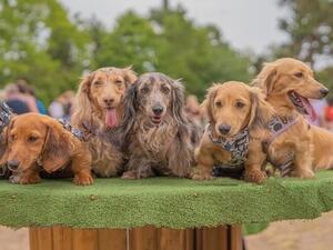Some of the gang