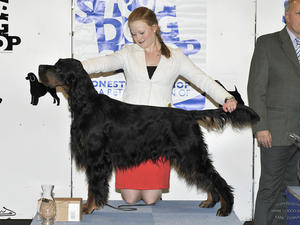 Troy, Reserve Best in Group