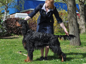 Best of Breed Ludwigshafen