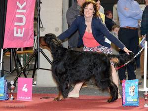 Troy 4th Best Veteran in Show