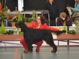 Troy, Reserve Best in Group