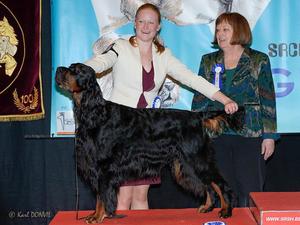 Troy 2nd Best Veteran in Show