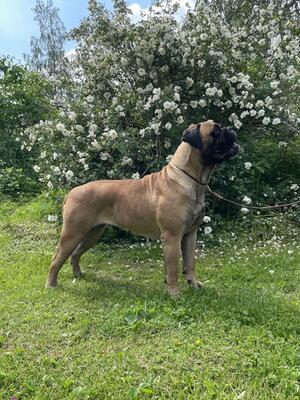 Muska at 2 years