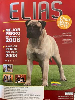 Dam sire