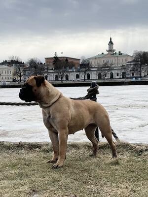 Mäkäräinen at 14 months