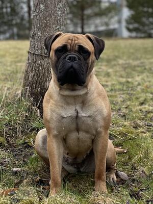 Mäkäräinen at 16 months