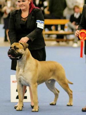 The sire Welmu