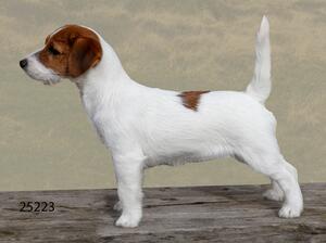 Betty - 4.5 months old