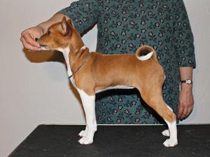 12 weeks old