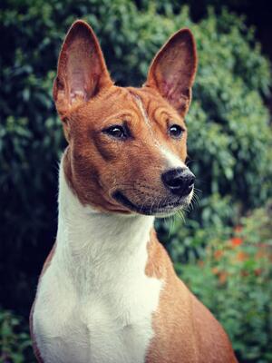 10 months old