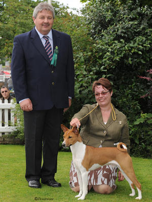 Houndshow 2012 Winner of the Open Stakes
