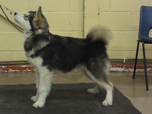'Torres' 5months