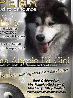 A snippet of one of Cielo's adverts