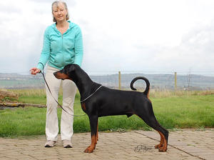 Bel, Neth Ch Grafmax Louis Armstrong ShCM RL3Ex