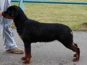 Baby at 8 months