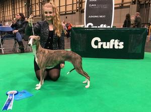 Crufts 2019
