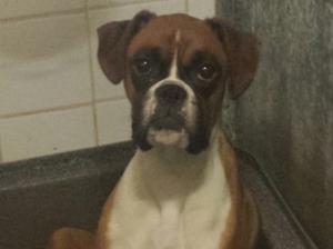 Beauimres Milly Bang