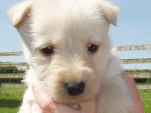 Cute or what!