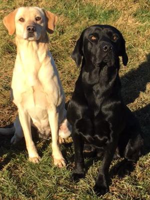 Ruby and her son Mungo