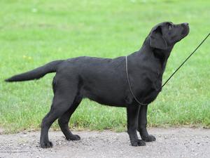 Georgia at 5months