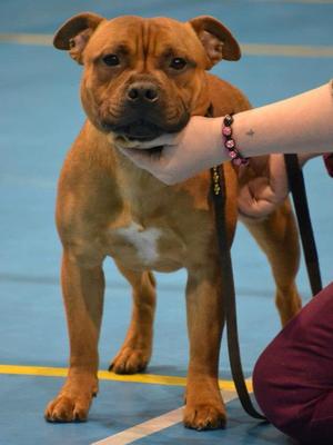 Gino aged 9 month