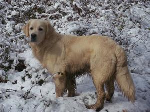 Skye at 3