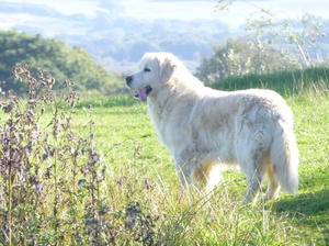 Skye at 7