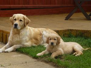 Skyla with her mum Sookie