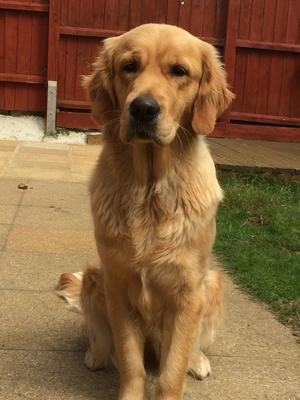 Skyla at 14 months
